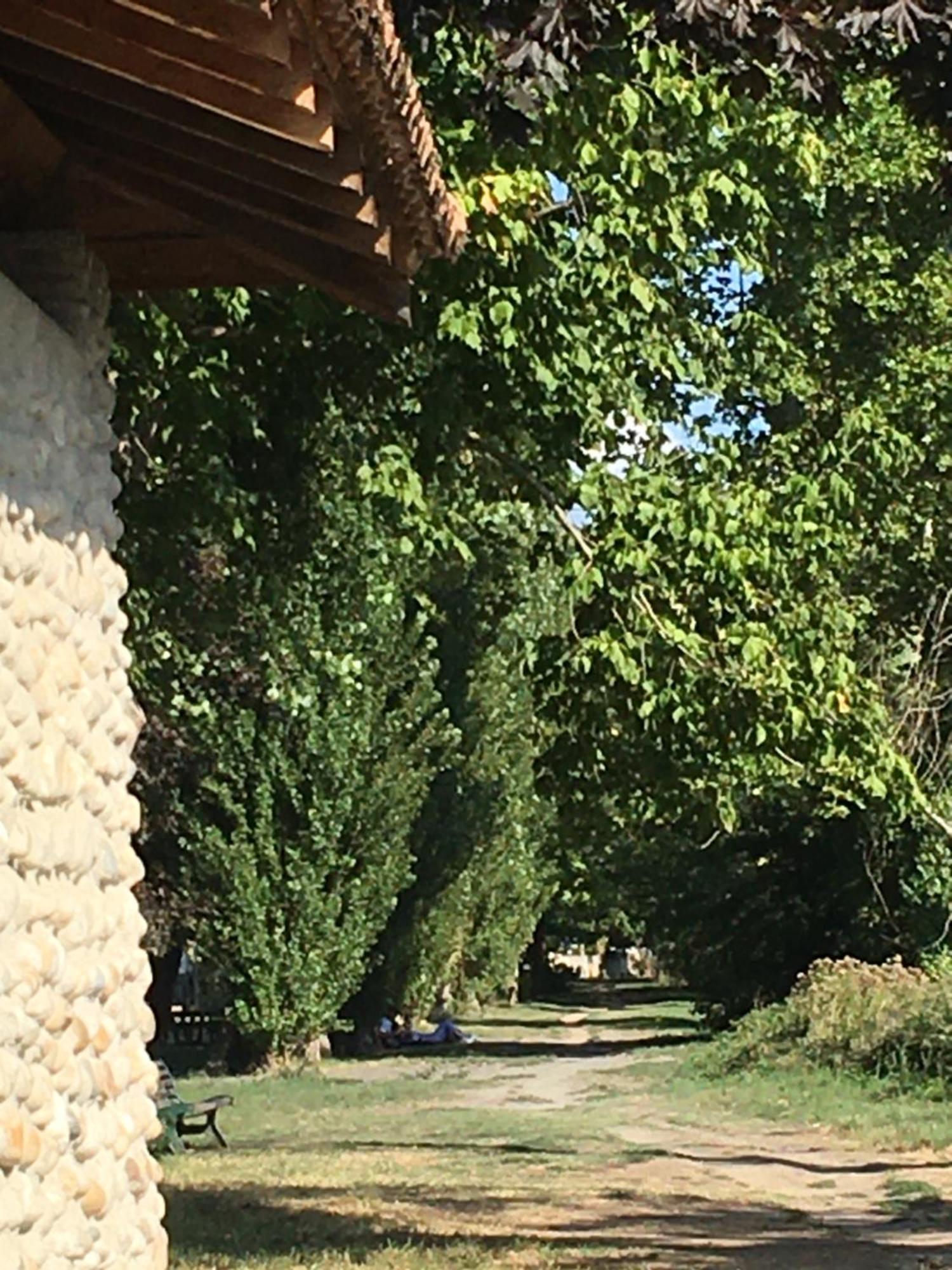 Romans-sur-Isère La Villa De Lise מראה חיצוני תמונה